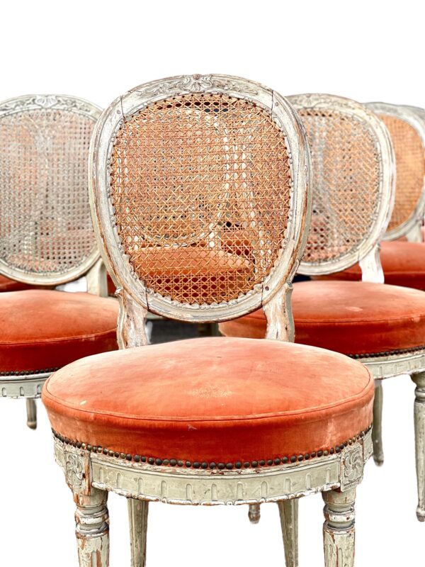 Rare Set of 14 Louis XVI Period Dining Chairs with Cane Back and Velvet Seats - Image 2