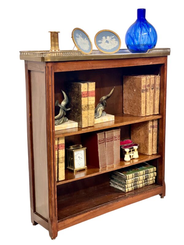 Bookshelf or Bibus with Marble Top and Brass Gallery, 19th Century