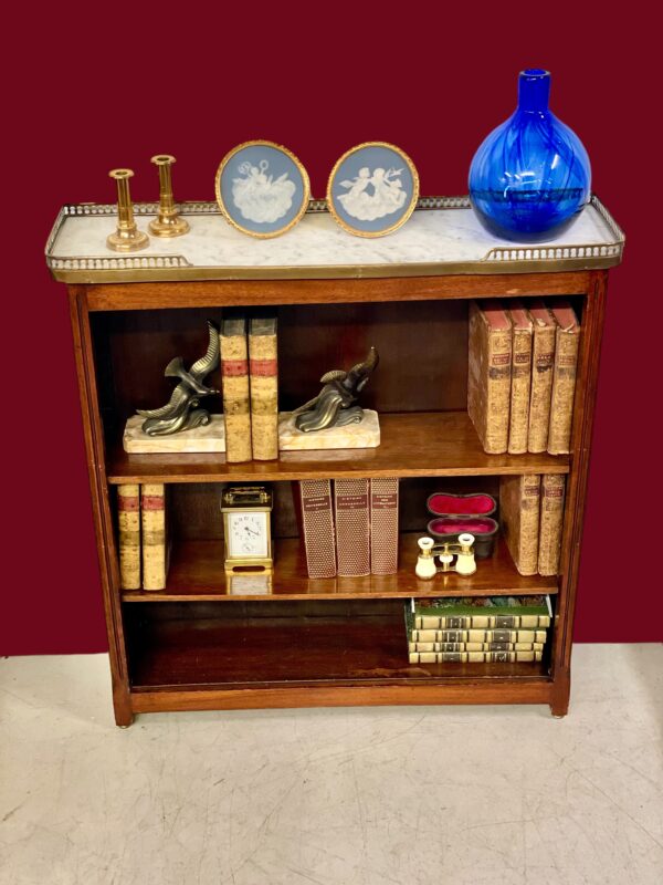Bookshelf or Bibus with Marble Top and Brass Gallery, 19th Century