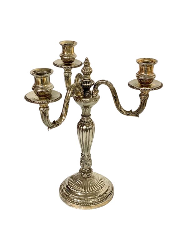 Pair of Rare Large Bronze Silver Plated Candelabras, 19th Century - Image 2