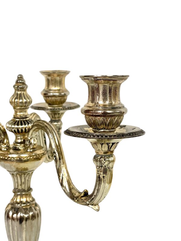 Pair of Rare Large Bronze Silver Plated Candelabras, 19th Century - Image 12