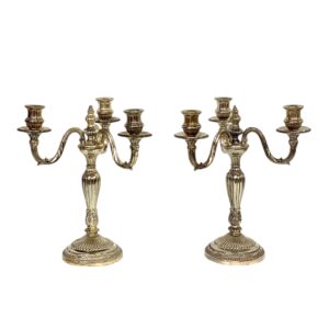 Pair of Rare Large Bronze Silver Plated Candelabras, 19th Century