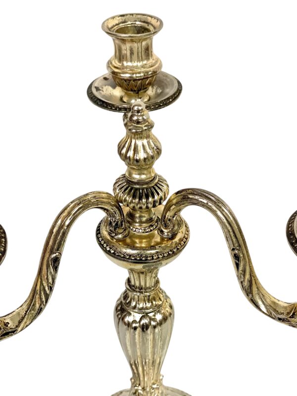 Pair of Rare Large Bronze Silver Plated Candelabras, 19th Century - Image 7