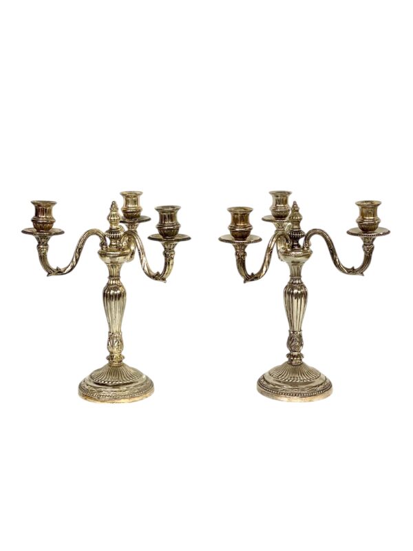 Pair of Rare Large Bronze Silver Plated Candelabras, 19th Century
