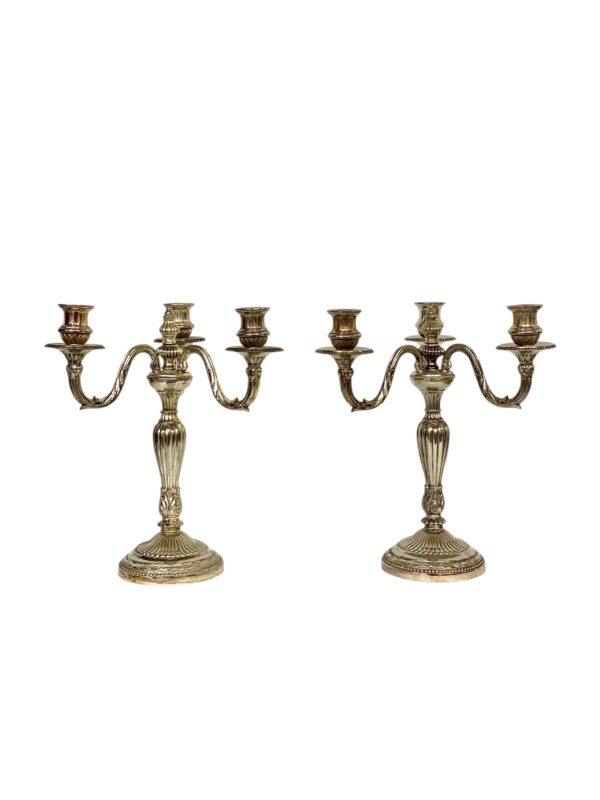 Pair of Rare Large Bronze Silver Plated Candelabras, 19th Century - Image 10