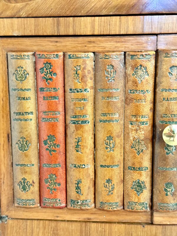 Pair of Louis XV Style Nightstands with Faux Book Front, 19th Century