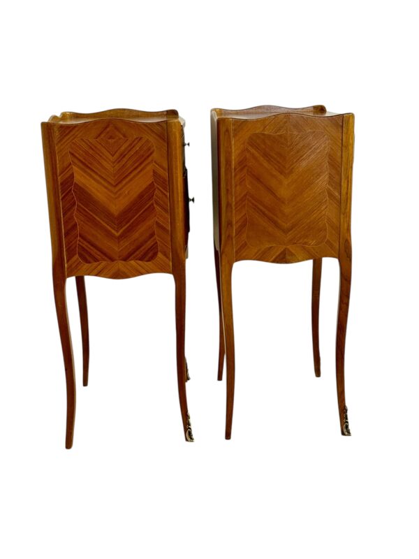 Pair of Louis XV Style Nightstands with Faux Book Front, 19th Century