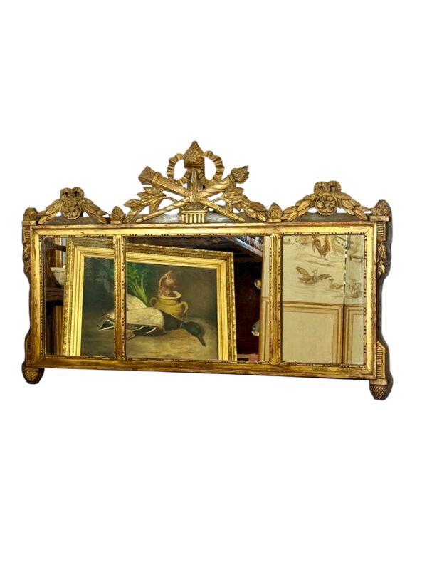 19th Century French Neoclassical Giltwood Wall Mirror with Crest