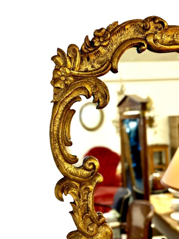 19th Century Ornate Rococo Giltwood Mirror