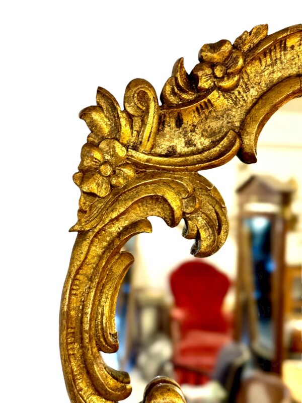 19th Century Ornate Rococo Giltwood Mirror