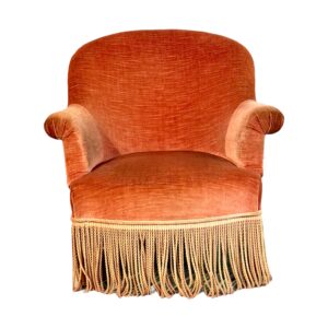 19th Century Child’s Velvet Armchair with Decorative Fringe1