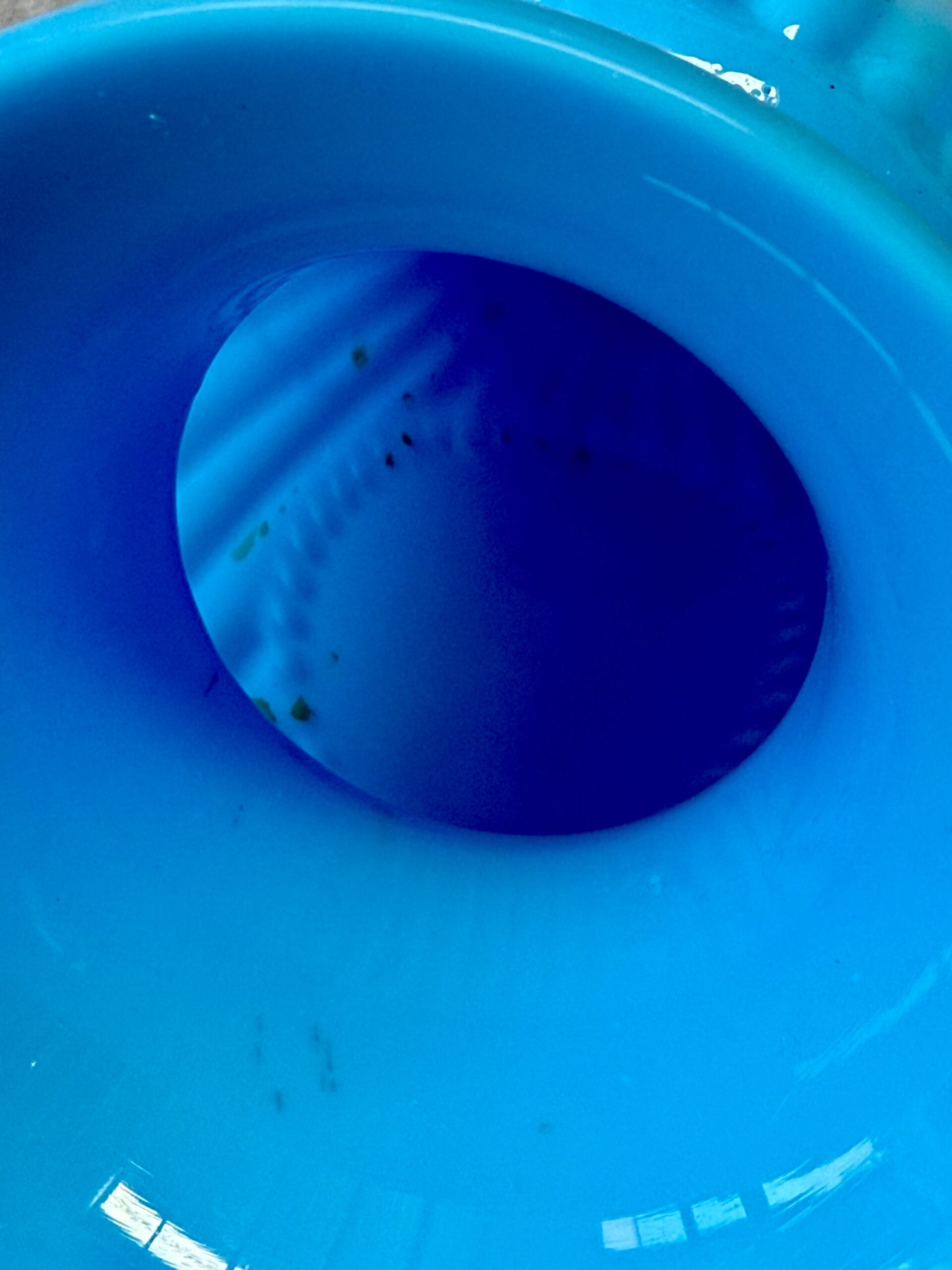 Pair of French Opaline Blue Glass Vases, 19th Century